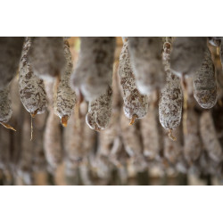 Saucissons Terre de Boissons